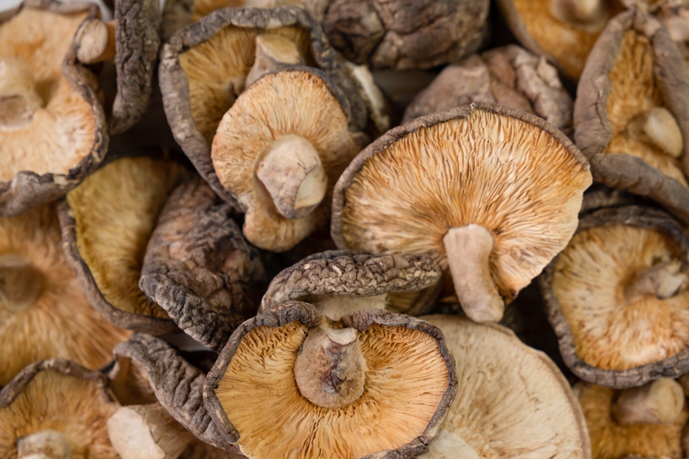 close-up-dried-shiitake-mushrooms-wooden-background_127675-2471.jpeg