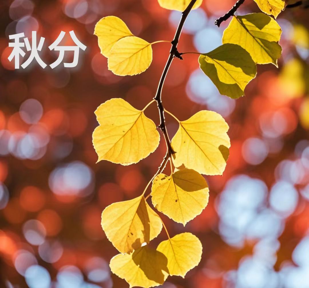 微信图片_20240921180207.jpg