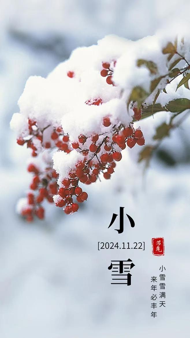 微信图片_20241121231643.jpg